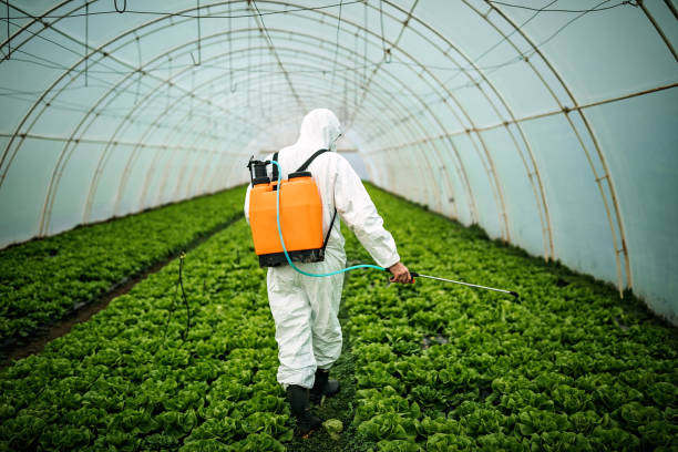 Best Affordable Pest Control Services  in Lincoln Park, NJ
