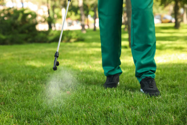 Best Rat Extermination Near Me  in Lincoln Park, NJ