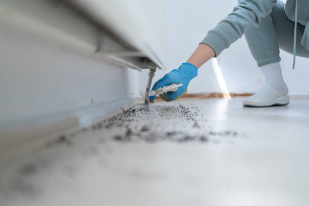 Pest Prevention Services in Lincoln Park, NJ