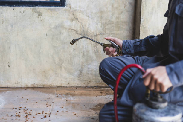 Best Local Pest Control Services  in Lincoln Park, NJ